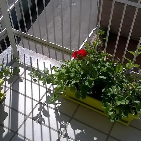 L'aloe * Turbigo
